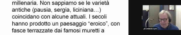 Come nasce l'olio extravergine?